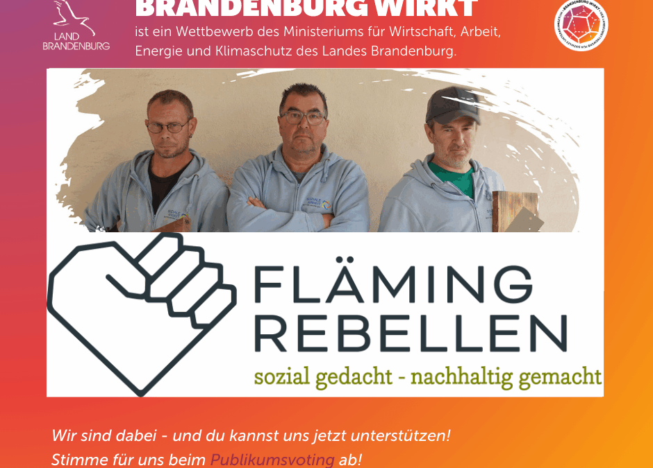 Deine Stimme zählt – Publikumspreis für die Flämingrebellen!